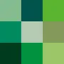 Which Shade of Green Are You? Which Shade of Green Are You?