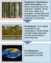 Test Your Knowledge on Ecology Test Your Knowledge on Ecology