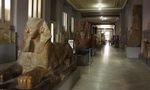 Discover Your Inner Sphinx (3) Discover Your Inner Sphinx (3)