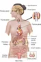 Physiology Quiz Physiology Quiz