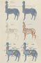 Test Your Knowledge on Centaurs Test Your Knowledge on Centaurs