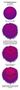 Which shade of purple are you? Which shade of purple are you?