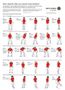 Test Your Knowledge: Modern Dance Test Your Knowledge: Modern Dance