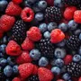 Heart Health Quiz Heart Health Quiz