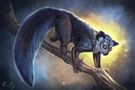 Find Your Endangered Spirit Find Your Endangered Spirit