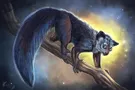 Find Your Endangered Spirit Find Your Endangered Spirit