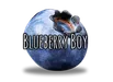 Blueberryboi