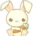 FluffyBuns01