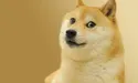 Doge_Leader