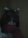 XxSad_Little_LionxX
