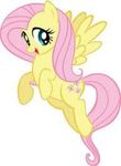 Fluttershy Fluttershy