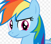 Rainbow Dash Rainbow Dash