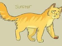 Sunstar Sunstar
