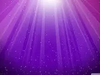 Purple Purple