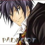 Padfoot! Padfoot!