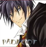 Padfoot! Padfoot!