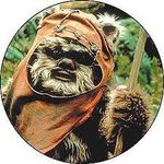 Wicket Wicket