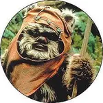 Wicket Wicket