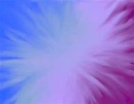 Blue-Purple Blue-Purple