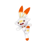 #813 Scorbunny