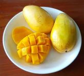 Mangoes Mangoes