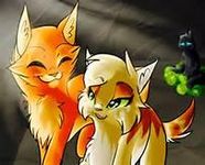 fireheart/star and sandstorm fireheart/star and sandstorm
