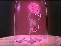 Rose Rose