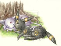 Umbreon x Espeon Umbreon x Espeon