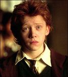 ron ron