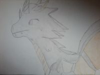 Dragon Dragon