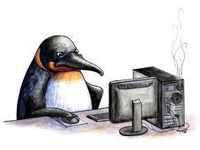 Other (if you select this you're a penguin and if you are you are highly advanced and I'm sending government officials your way) Other (if you select this you're a penguin and if you are you are highly advanced and I'm sending government officials your way)