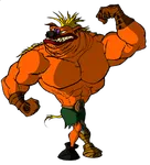 Dingo Dingo