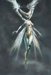 Virgo Virgo