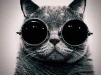 AWSOME! AWSOME!