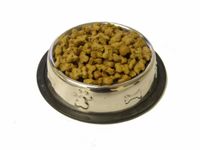 Dog Food
