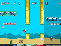 Splashy bird Splashy bird