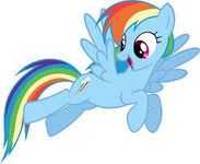 Rainbow Dash Rainbow Dash