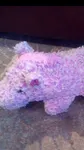 Purple Pony Purple Pony