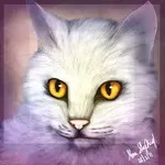 Whitestorm