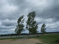 Windy Windy