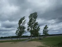 Windy Windy