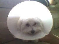 no!