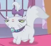 Opal Opal