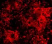 Bloodlust Bloodlust
