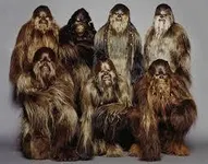 Wookie