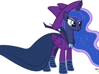 custom luna custom luna