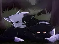 Ravenpaw (Ravenpaw's Farewell)