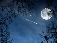Night Night
