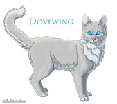 Dovewing Dovewing