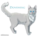 Dovewing Dovewing